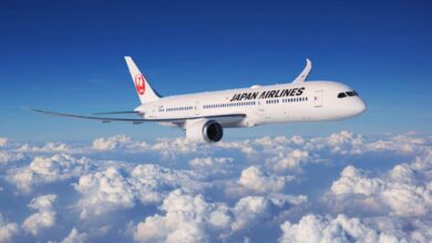 dreamliner japan airlines